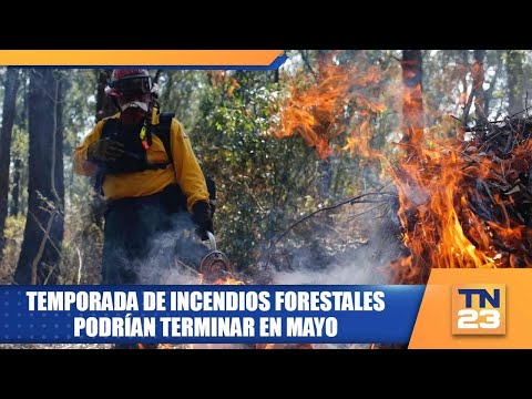 Temporada de incendios forestales podrían terminar en Mayo