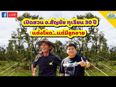 EP.-41-อาจารย์สัญชัยแต่งโหด-ทุ EP.-41-อาจารย์สัญชัยแต่งโหด-ทุ