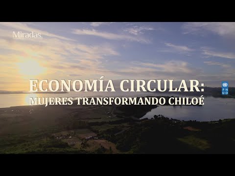 Miradas PNUD | Economía circular: mujeres transformando Chiloé  | 24 Horas TVN Chile