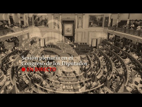 EN DIRECTO | Pleno en el Congreso de los Diputados