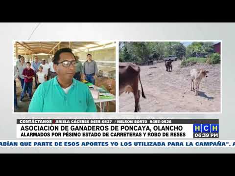 Ganaderos de Poncaya, Olancho preocupados por el mal estado de la red vial y el robo de ganado