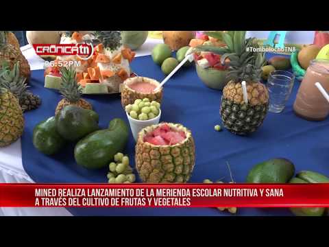 MINED lanza Merienda Escolar Nutritiva y Sana con huertos escolares – Nicaragua