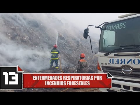Enfermedades respiratorias por incendios forestales