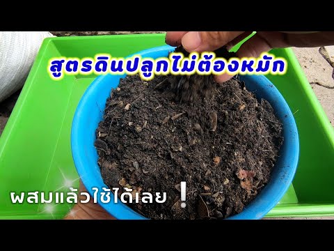 สูตรดินปลูกไม่ต้องหมักผสมแล้ว