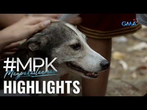 Magpakailanman: Ang viral dog wonder na si Blackjack! (Stream Together)