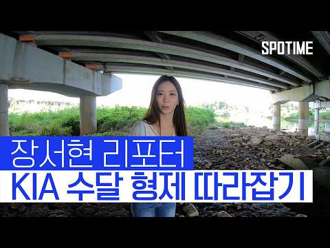 김도영이 말한 광주천 수달 제가 한 번 가봤습니다