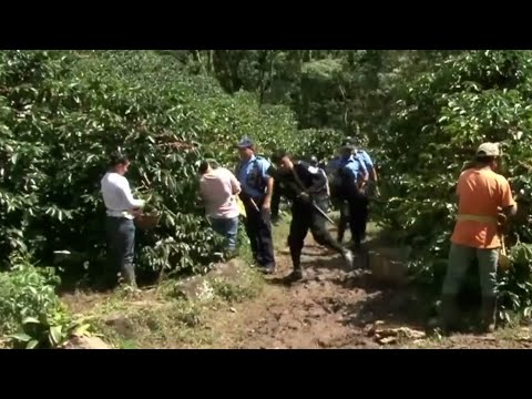 Aumentan patrullaje policial en zonas rurales y productivas de Nicaragua