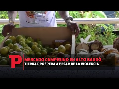 Mercado campesino en Alto Baudó, tierra próspera a pesar de la violencia | 19.07.2023 | TP Noticias