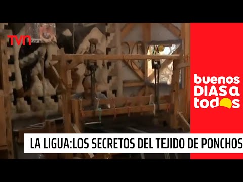 Los secretos del tejido de ponchos en La Ligua | Buenos días a todos