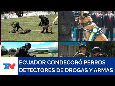 Ecuador condecoró a perros detectores de droga, armas y explosivos