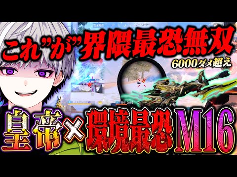 【最高試合】環境最強ARはM16で間違いない圧倒的37キル6000ダメ【#荒野行動 】