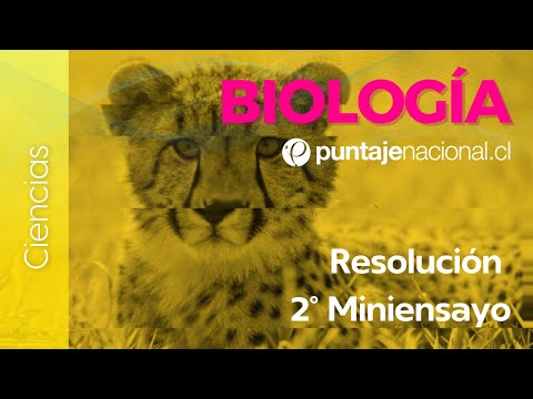 PAES | Biología | Resolución 2º Miniensayo