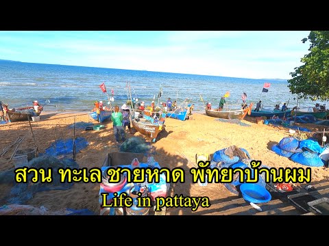 สวน-ทะเล-ชายหาด-ที่พัทยา-ใช้ชี สวน-ทะเล-ชายหาด-ที่พัทยา-ใช้ชี