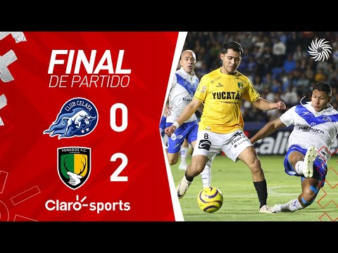 Celaya 0-2 Venados | Resumen y goles | Jornada 9 | Liga Expansión