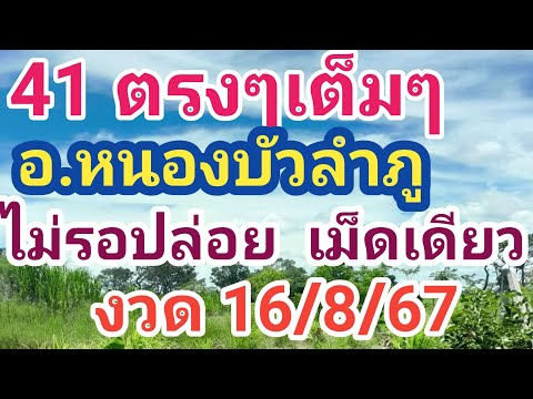 41ตรงๆเต็มๆอ.หนองบัวลําภู