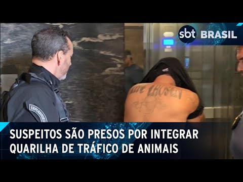 Três suspeitos de integrar esquema de tráfico de animais foram presos no RJ | SBT Brasil (12/03/24)
