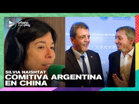 Silvia Naishtat sobre el viaje a China de Sergio Massa y Máximo Kirchner | #DeAcáEnMás