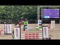 Show jumping horse Super fokmerrie drachtig heeft veel goeie springpaarden gebracht