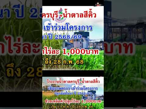 สนันสนุนปลูกอ้อยในนาข้าว1000บ