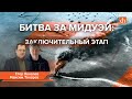 Битва за Мидуэй. Заключительный этапМаксим Токарев и Егор Яковлев