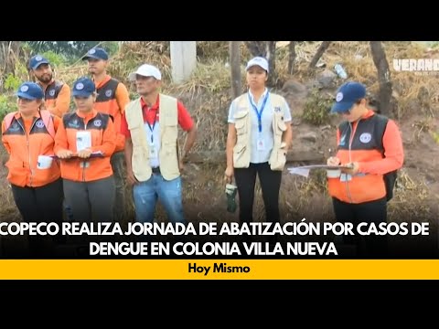 Copeco realiza jornada de abatización por casos de dengue en colonia Villa Nueva
