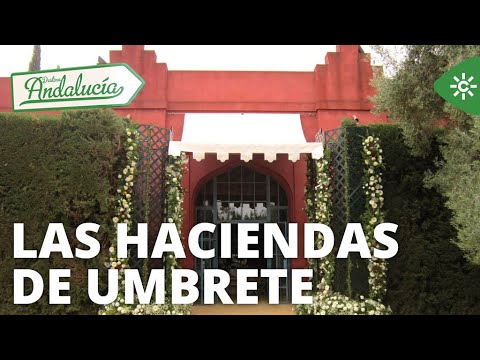 Destino Andalucía | Las Haciendas de Umbrete estaban asentadas sobre antiguas alquerías