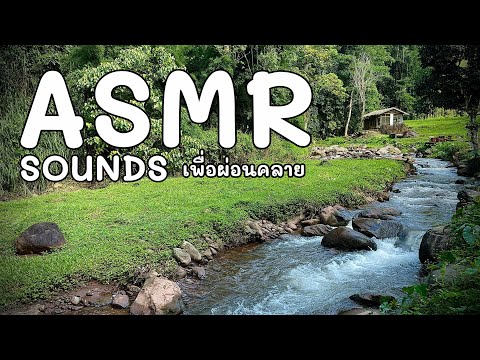 ASMRน้ำตกหลงเขาคาเฟ่บ่อเกลื