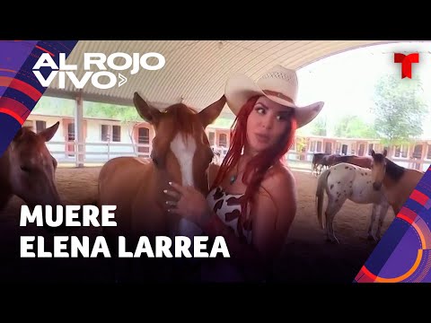 Fallece Elena Larrea, activista que luchó por los derechos de los animales