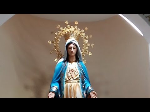 Santo Rosario PSJA Domingo 04 de Febrero de 2024