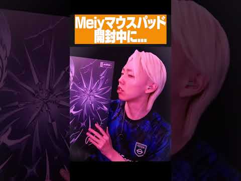 Meiyモデルのガラスパッドで事件が… #ゲーム実況 #GON切り抜き