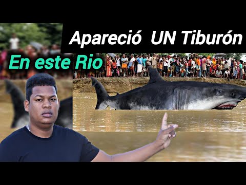 En Esté Rio APARECIÓ UN TIBURÓN  ( Un Caso Inusual )