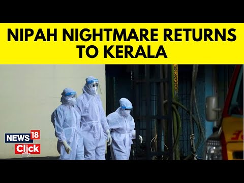 Nipah Infection Confirmed In 14-Year-Old Boy In Kerala, Says Health Minister Veena George | N18V