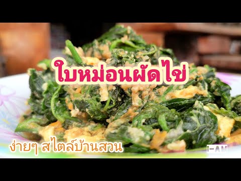 ใบหม่อนผัดไข่-ประโยชน์เยอะ-| ใบหม่อนผัดไข่-ประโยชน์เยอะ-|
