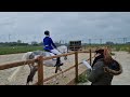 Allround paard Braaf Trec-/ leer-/ recreatiepaard te koop