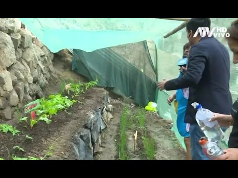 Mamitas de olla común aprenden a cultivar sus propios alimentos con biohuerto