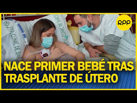Nace en España el primer bebé tras un trasplante de útero