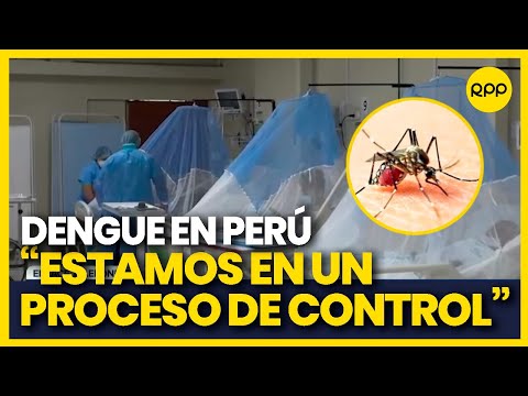 Dengue en Perú: Zancudo no se reproduce en temperaturas muy frías