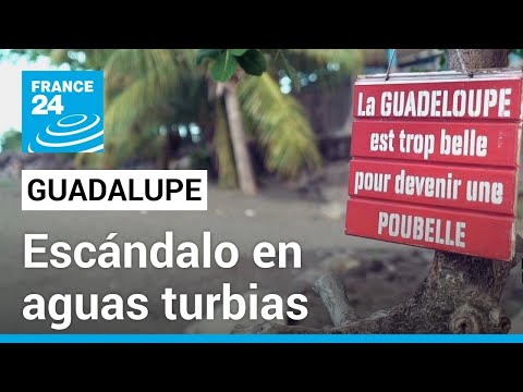 Guadalupe en aguas turbias: el escándalo del tratamiento de aguas residuales • FRANCE 24 Español