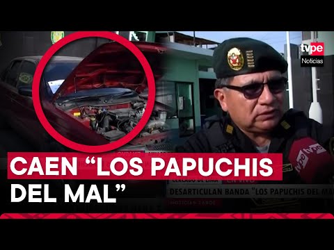 PNP desarticula banda ‘Los Papuchis del Mal’