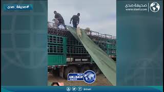 رايق مع حلاله