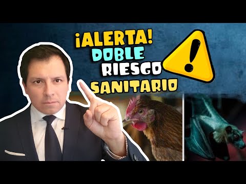 ¡CUIDADO! DOBLE RIESGO SANITARIO GRIPE AVIAR & MARBURGO