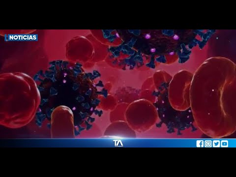 #PorTuSalud: La nueva variante del coronavirus identificada en Sudáfrica