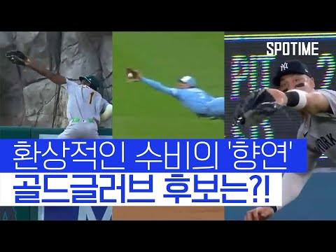 MLB 선정 2025 골드글러브 후보는 누구?! 