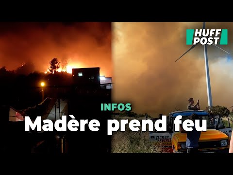 Madère en proie à un incendie impressionnant qui a ravagé 5 % de sa superficie