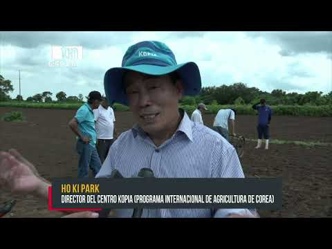 INTA promueve variedades de soya entre productores de Chinandega - Nicaragua