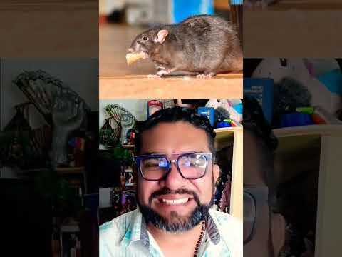 Historias de TERROR  // Niña come veneno para ratas en Honduras