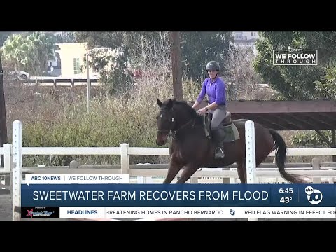 South Bay horse ranch recovers from historic 2024 floods