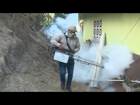 Encuentran larvas de mosquito aedes aegypti en vivienda en Las Lajas