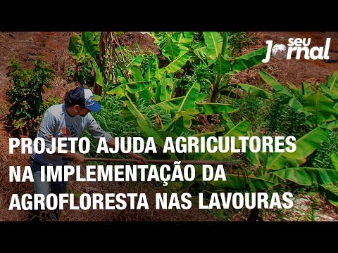 Projeto ajuda agricultores na implementação da agrofloresta nas lavouras, no RJ