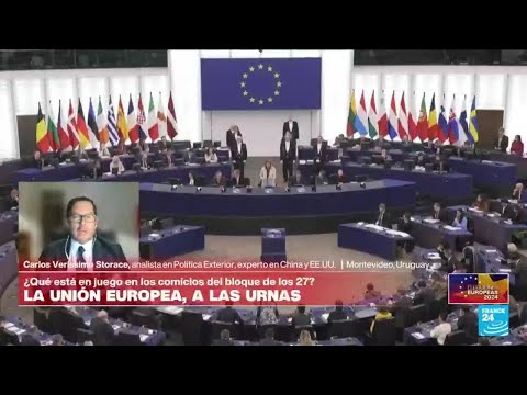 Carlos Verissimo: 'Los resultados de los comicios europeos no son buenos para China' • FRANCE 24